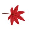 秋に使える紅葉の手書きイラストフリー素材