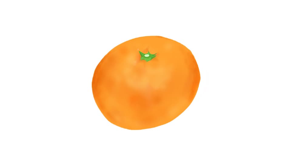 リアルなみかんの手書きイラスト