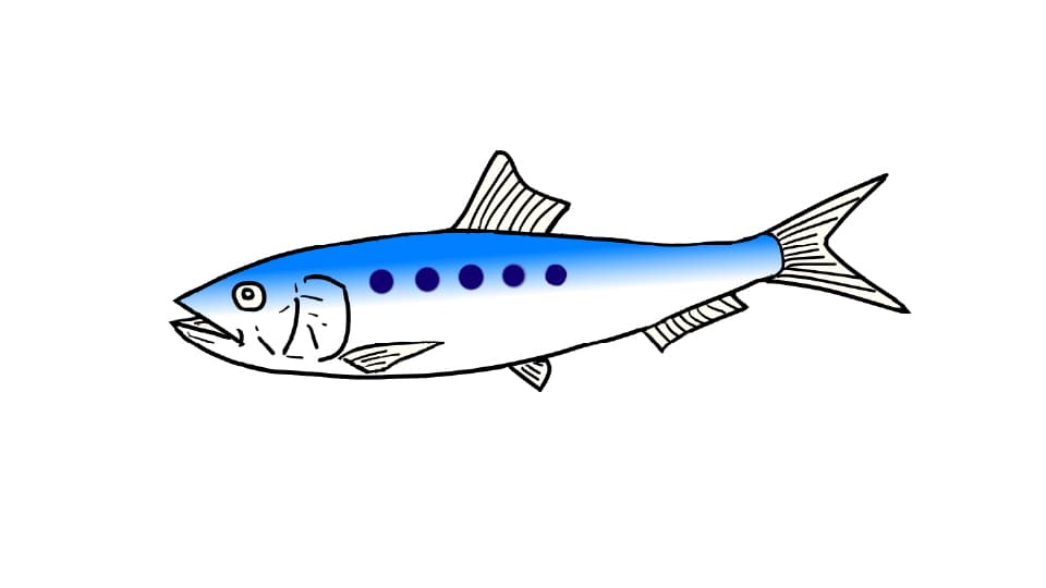 手書きのイワシ(魚)のイラスト素材