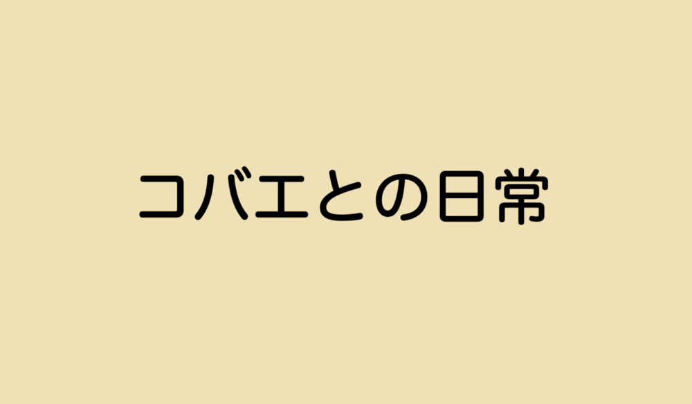 コバエとの日常 みりんの暮らし