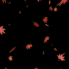 秋に使える舞い散る紅葉、落ち葉のフリー動画素材