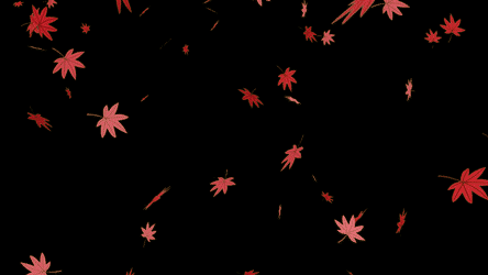 秋に使える舞い散る紅葉、落ち葉のフリー動画素材