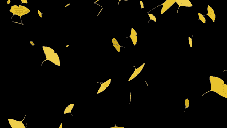 秋に使える舞い散るイチョウ、落ち葉のフリー動画素材