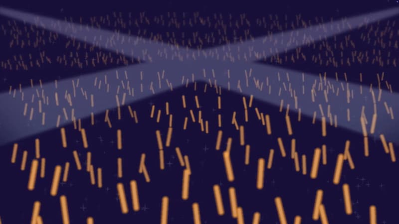 観客がペンライト,サイリウムを振るライブ会場,コンサート会場の無料背景素材