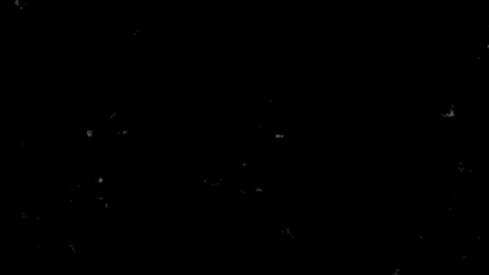 小さいほこりのような白いノイズエフェクトのフリー動画素材