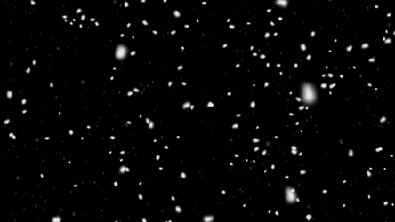 舞い落ちるふわふわな雪【フリー動画素材】