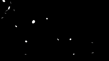 桜吹雪の背景透過のフリー動画素材