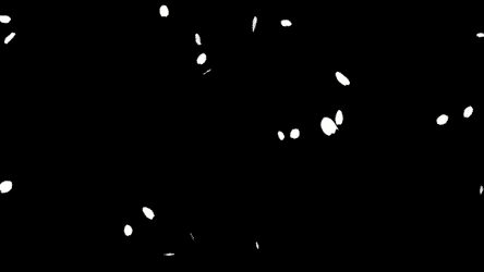 舞い散る桜の背景透過のフリー動画素材